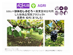 AOHUB AGRI はみだしぶどう 松代 プランニング提案